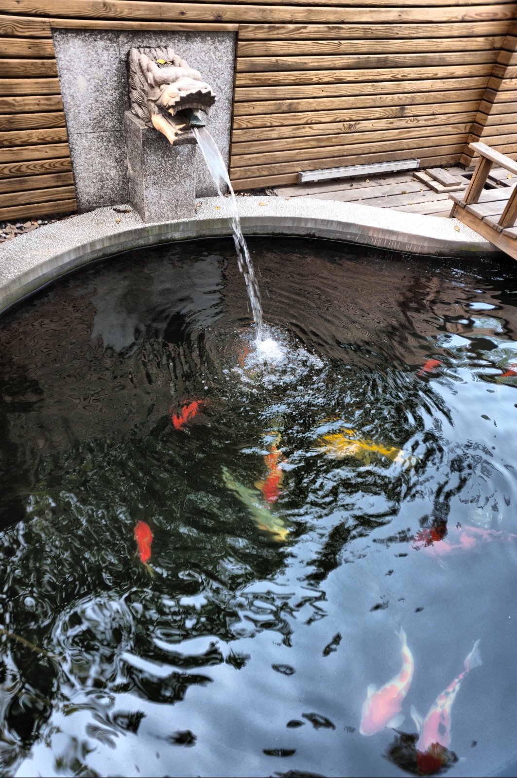 混搭花園其它實(shí)景圖